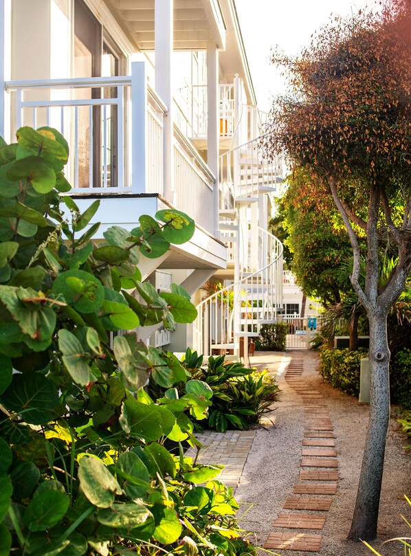 Terrain de l’hébergement 