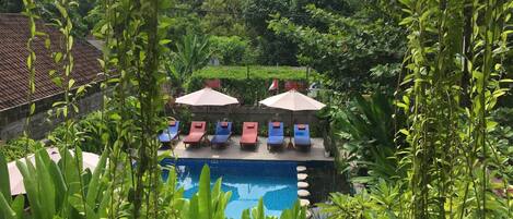 Outdoor pool, sun loungers