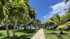 Un sendero que lleva a un edificio con piscina, rodeado de palmeras y un cielo despejado.