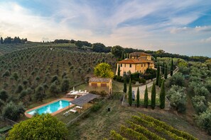 A villa with a swimming pool, surrounded by olive groves and a hilly landscape. - Groundfloor apt with al fresco dining, shared pool & wi-fi on awarded winery. (Bucine)