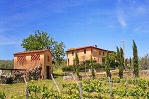 House Feriale by the Petrolo vineyards