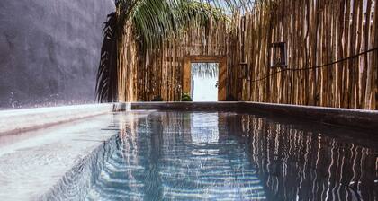 Aroma Tulum