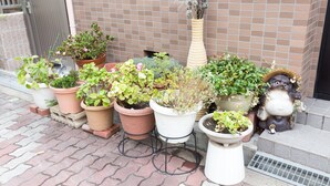 Property grounds - Kitajimake Minpaku 101 (Osaka)