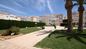 A courtyard with a paved walkway, palm trees, and neatly trimmed hedges. - Perfectly located, refurbished apartment in a gated complex with pool and garden (Torrevieja)