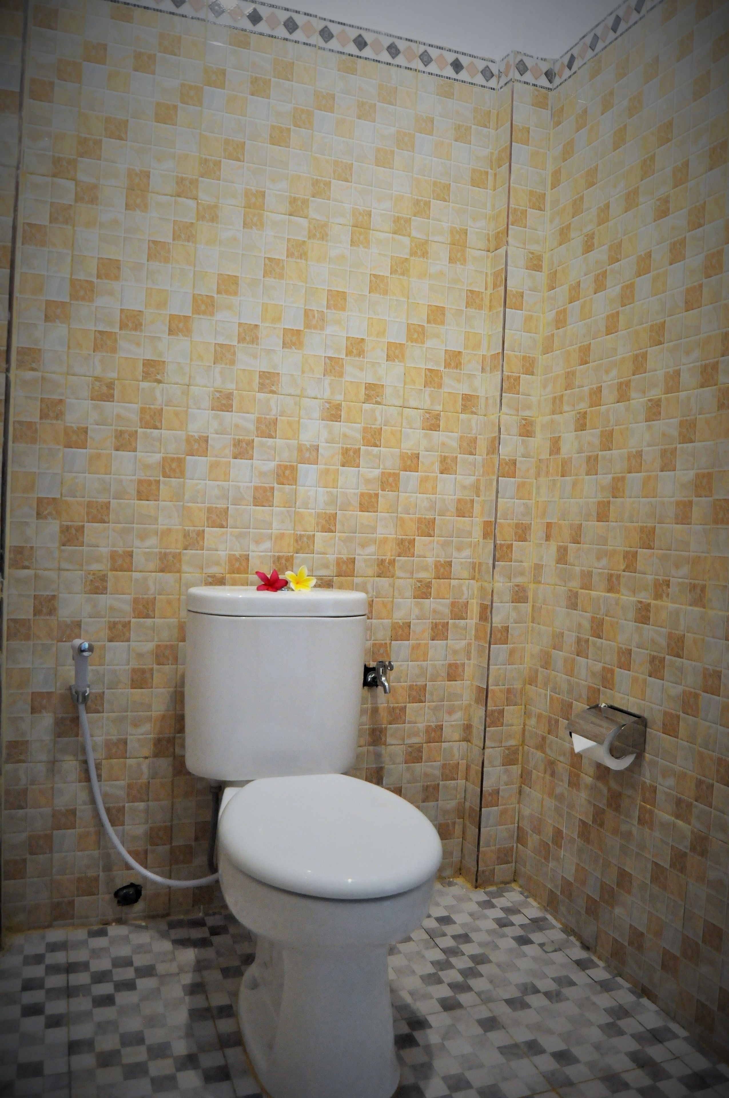 Deluxe-Bungalow, 1 Doppelbett, Poolblick | Badezimmer | Dusche, kostenlose Toilettenartikel, Bidet, Handtücher
