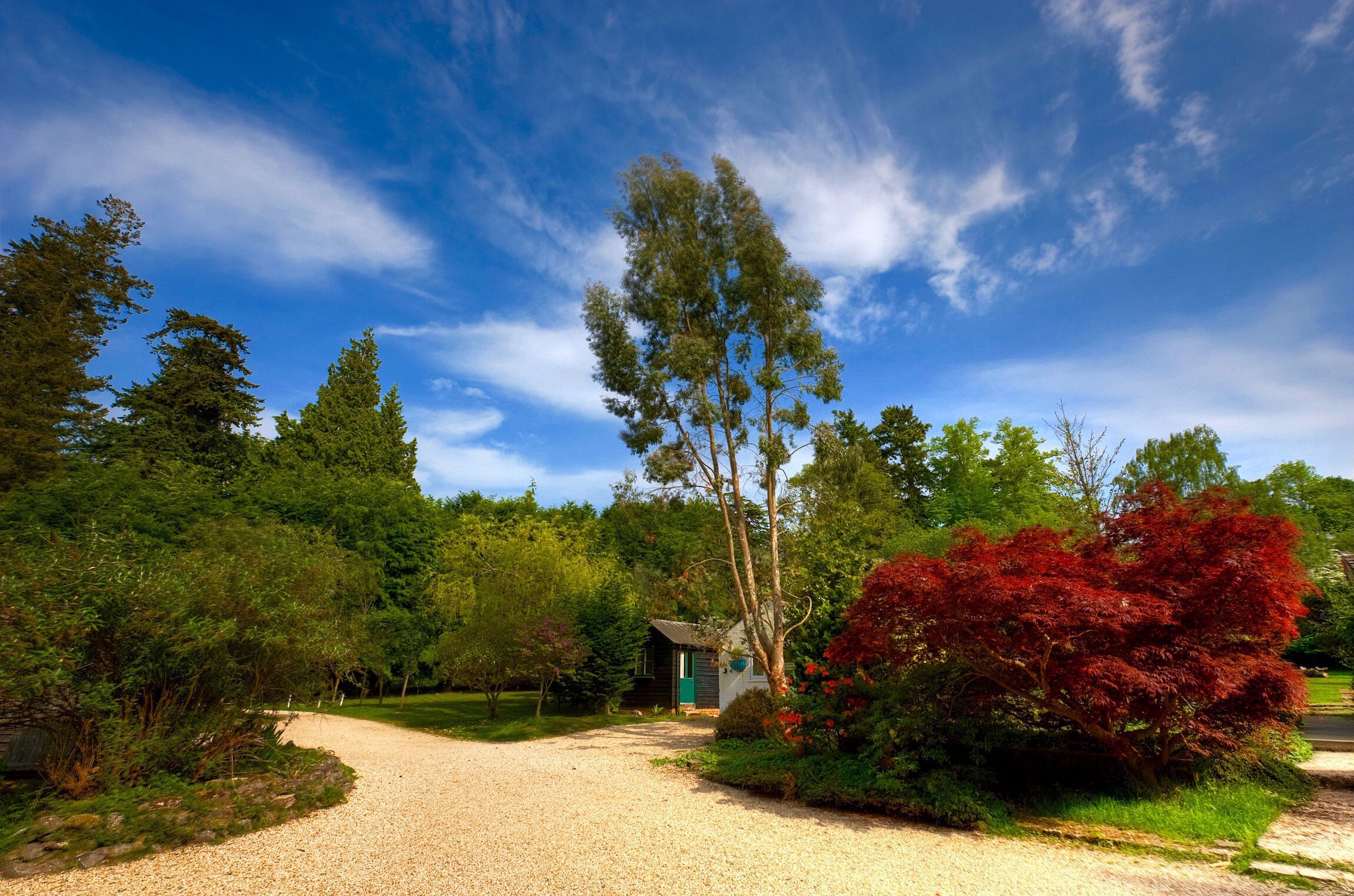 A gravel driveway leading to a small building surrounded by lush greenery and tall trees.