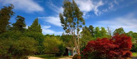 A gravel driveway leading to a small building surrounded by lush greenery and tall trees.