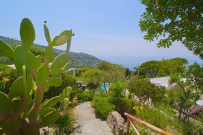 Property grounds - VILLA CALA - Six Bedroom Villa, Sleeps 12 (Anacapri)