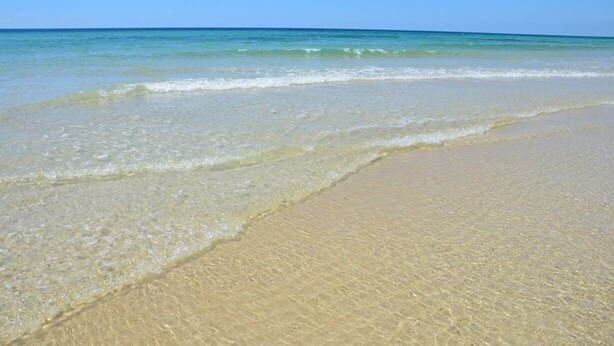 Uma praia com água cristalina e uma faixa de areia.