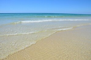 Lettini da mare