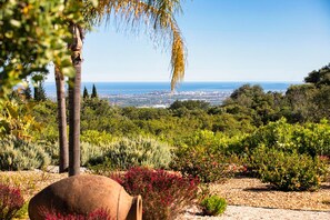 A garden with a variety of plants and a view of a cityscape in the distance.