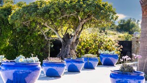 A row of blue pots with various plants on a table, a large tree in the background, and a stone wall. - Cozy family-friendly holiday home with many extras (Sao Bras de Alportel)