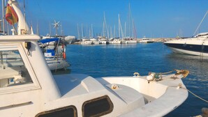 A marina with multiple sailboats docked.
