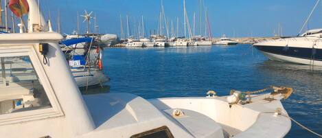 A marina with multiple sailboats docked.