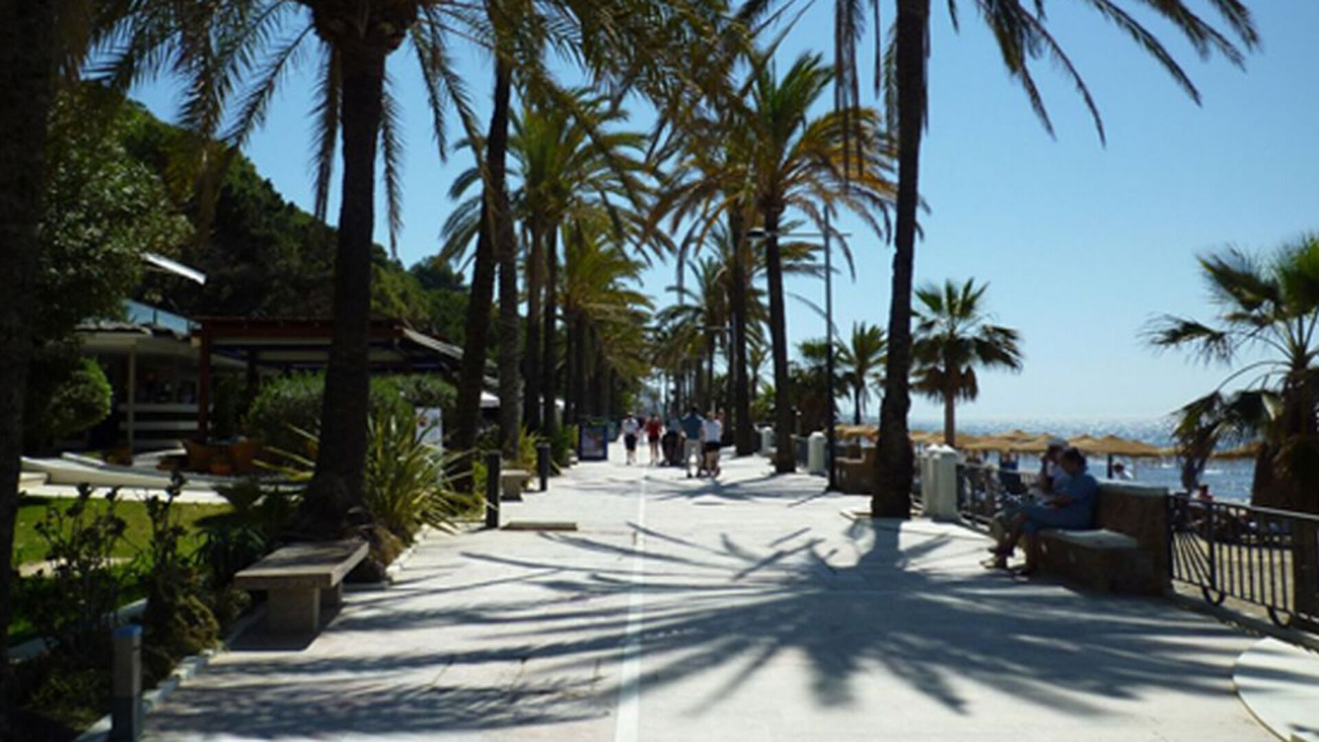 A promenade lined with palm trees and benches, leading to a beach area with people and umbrellas.