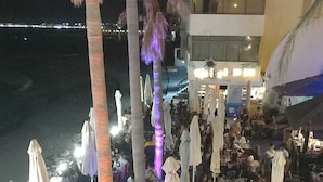 An outdoor dining area with tables and chairs, palm trees, and umbrellas.