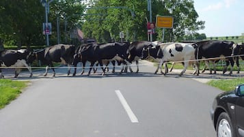 Overig
