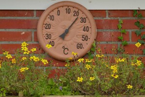 Botón de imagen sin clasificar, 5 de 16