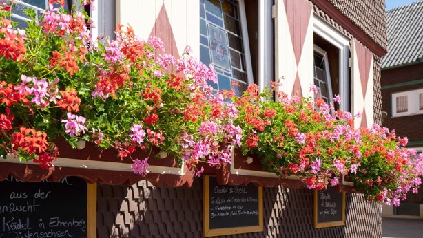 Un edificio con jardineras repletas de flores rosas y rojas. Hay carteles con texto en un idioma extranjero.