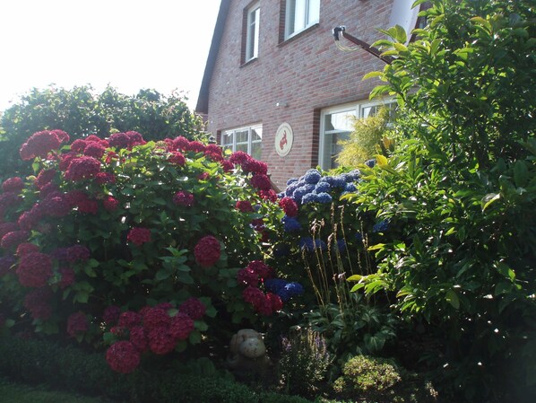 Unclassified image, 1 of 16, button - Double room 2, Guesthouse Strandmuschel - Guesthouse Strandmuschel (Esens)