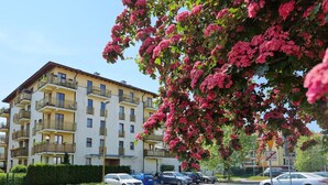 A multi-story residential building with balconies, parked cars, and a tree with pink flowers in the foreground. - Bryza (CH18B) - CH18B (Swinoujscie)
