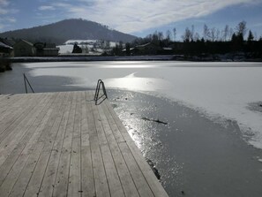 Unclassified image, 3 of 21, button