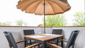A patio with a table and chairs, an umbrella, and a view of trees. - Vacation apartment Deichkrone (Wittmund)