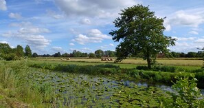 Unclassified image, 4 of 33, button