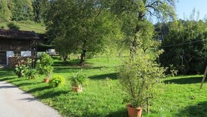 A rural setting with a house, a paved path, and various potted plants. - Ferienwohnung bis 5 Personen (ca. 90 qm) (Kiefersfelden)