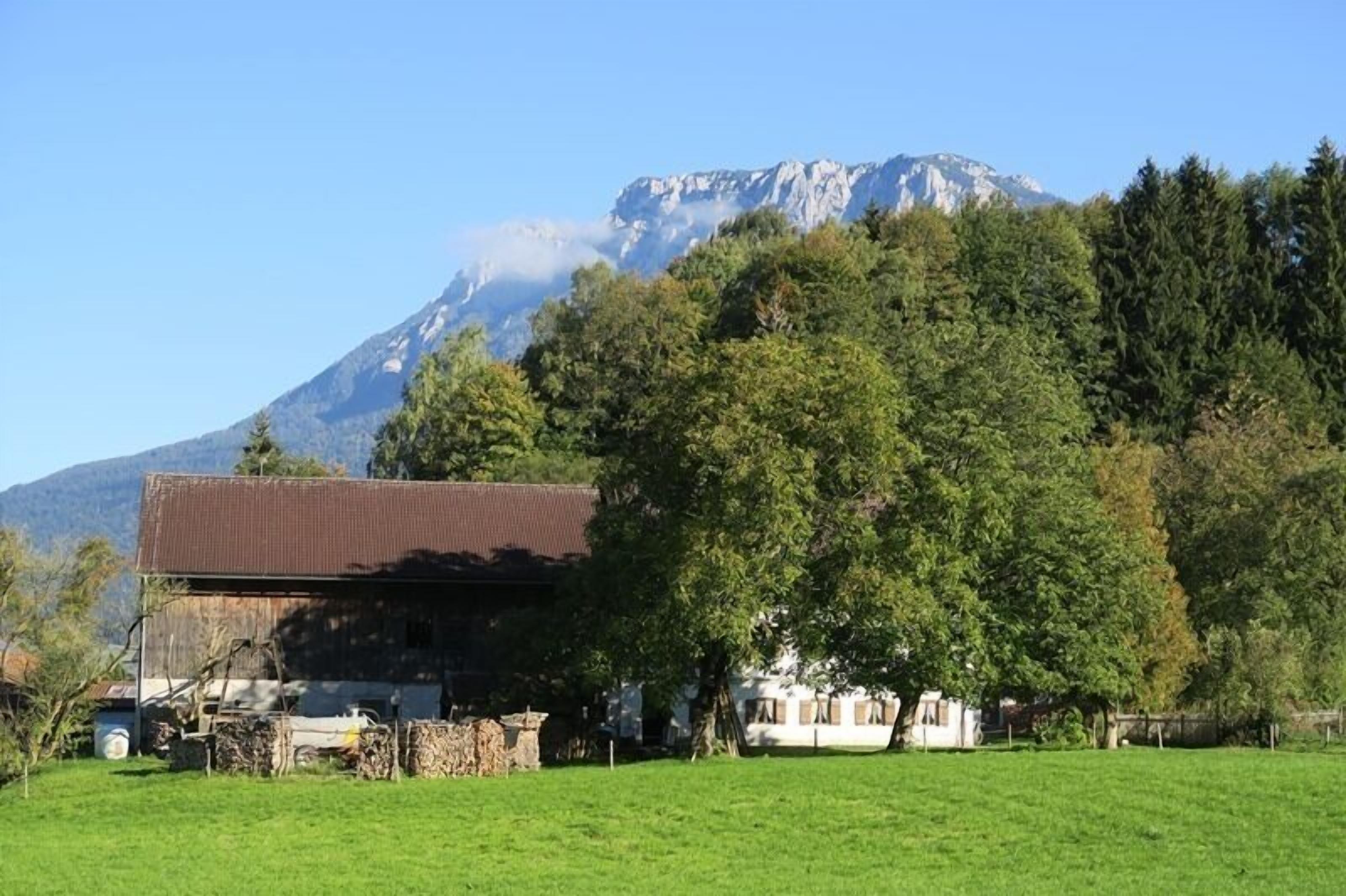 A rustic building with a brown roof, surrounded by a green field and trees, with a mountain in the background.