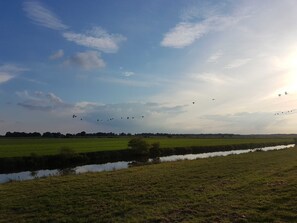 Imagen sin descripción, 5 de 20, botón