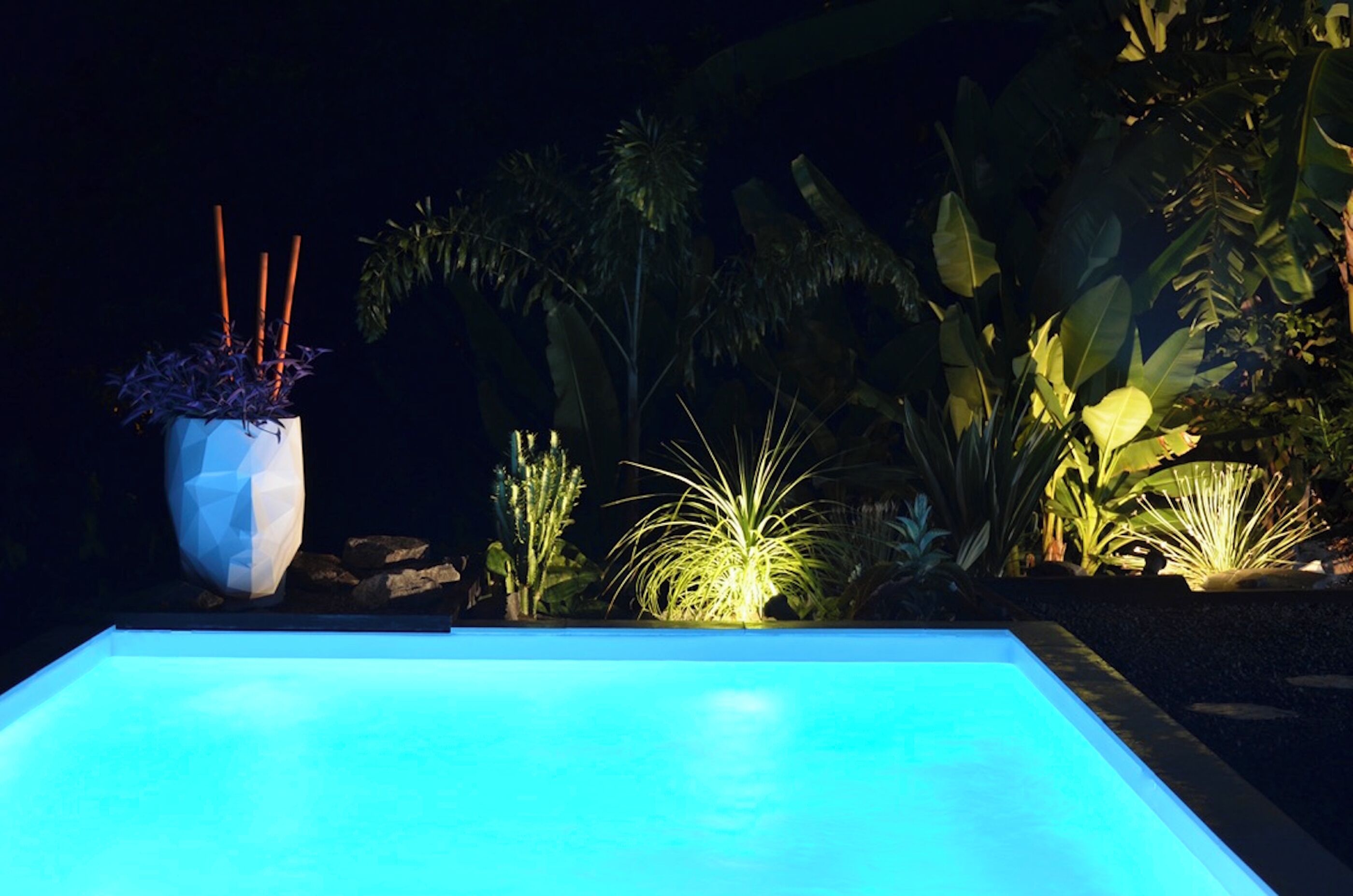 Piscina com um jardim geométrico e plantas tropicais.