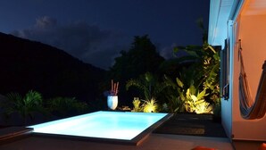 Un espace piscine extérieur moderne, agréablement éclairé, entouré de plantes tropicales et agrémenté d’un hamac.