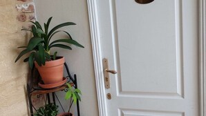 Une porte blanche avec une poignée en laiton et une petite fenêtre ovale. À gauche, un mur de briques et un présentoir métallique pour plantes, sur lequel sont disposées plusieurs plantes en pot.