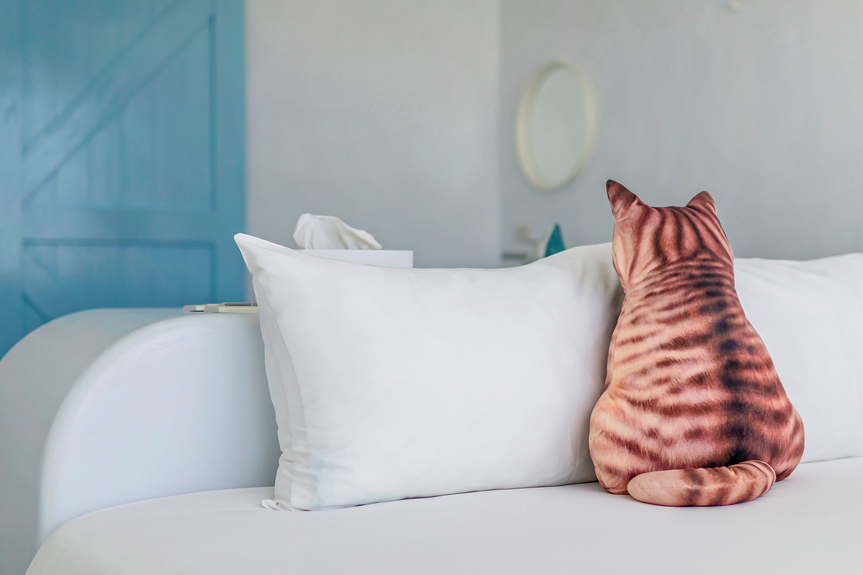 Un gato sentado en un sofá blanco con un cojín estampado, una caja de pañuelos y un espejo en la pared.