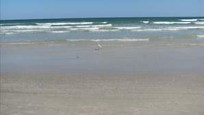 Uma praia com ondas e céu claro.