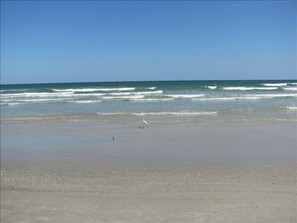 Una spiaggia nelle vicinanze