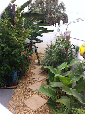 Stroll through a serene garden, lined with lush foliage and vibrant flowers, along a winding stone pathway.