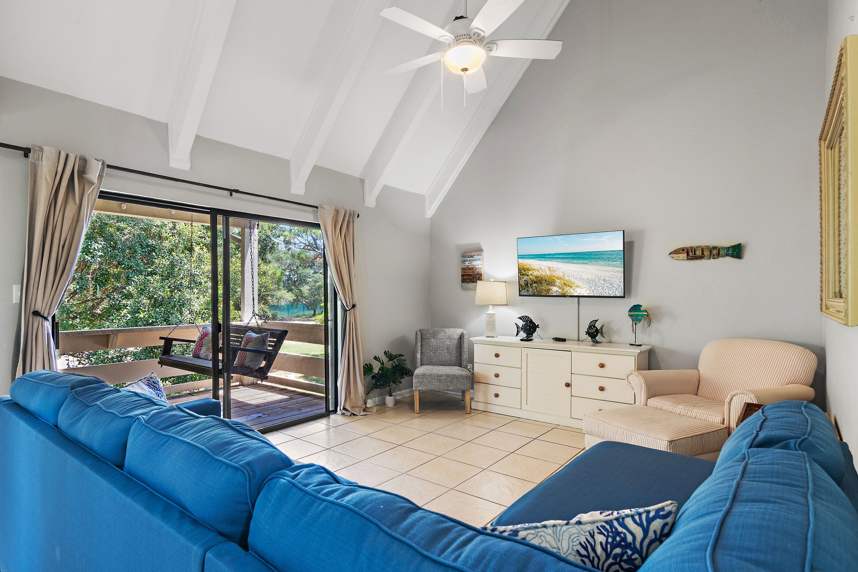 TV
