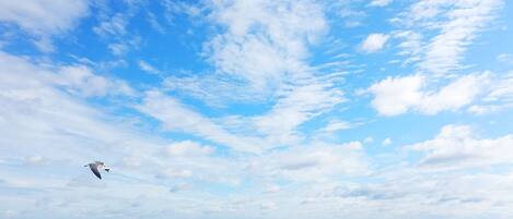 A beach with clear skies and waves.
