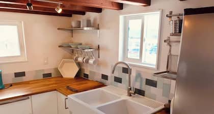 Tiny House Maverick keskustassa Leadville ilmainen WiFi