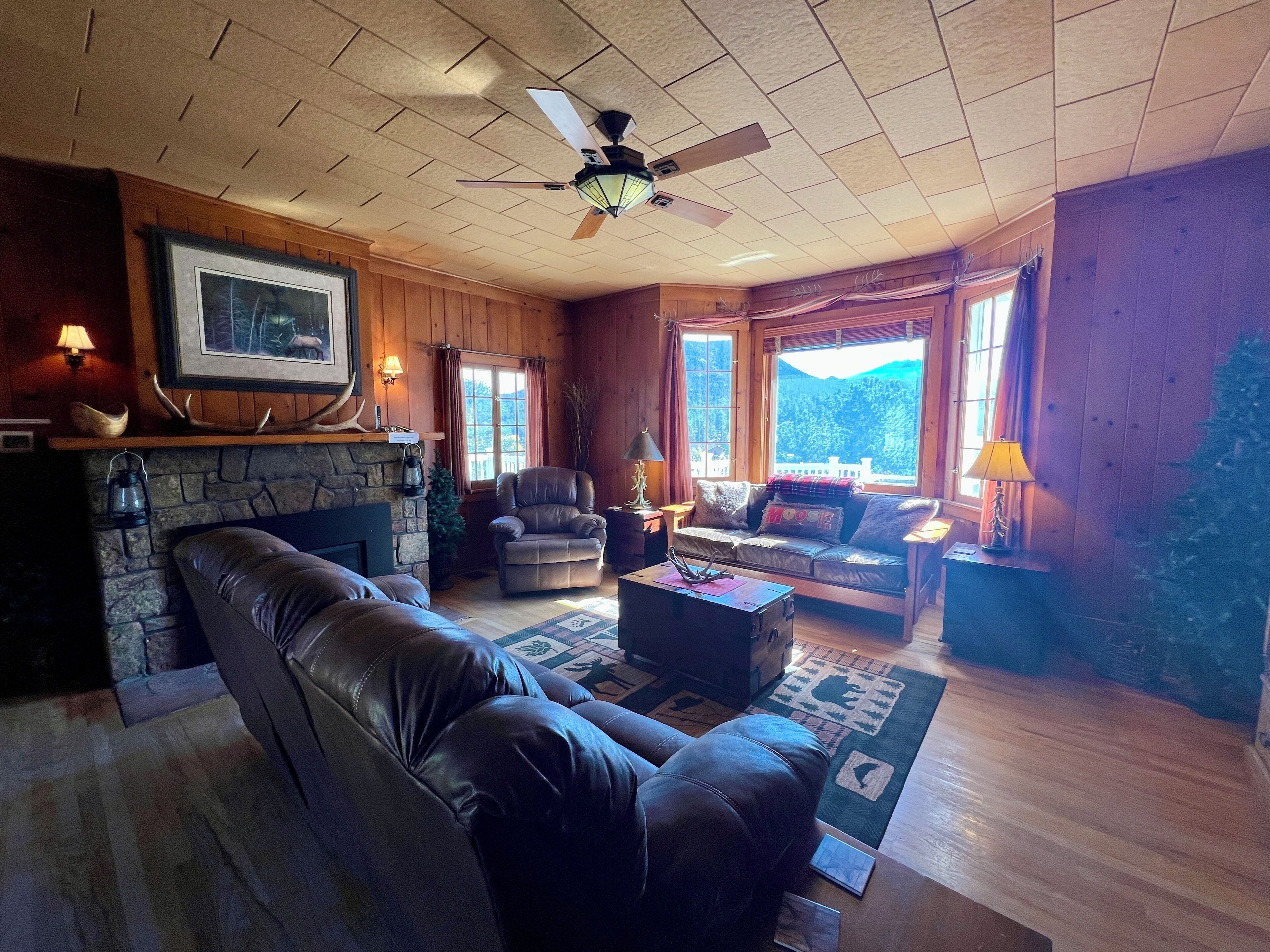 Smart TV, fireplace, Netflix, Hulu