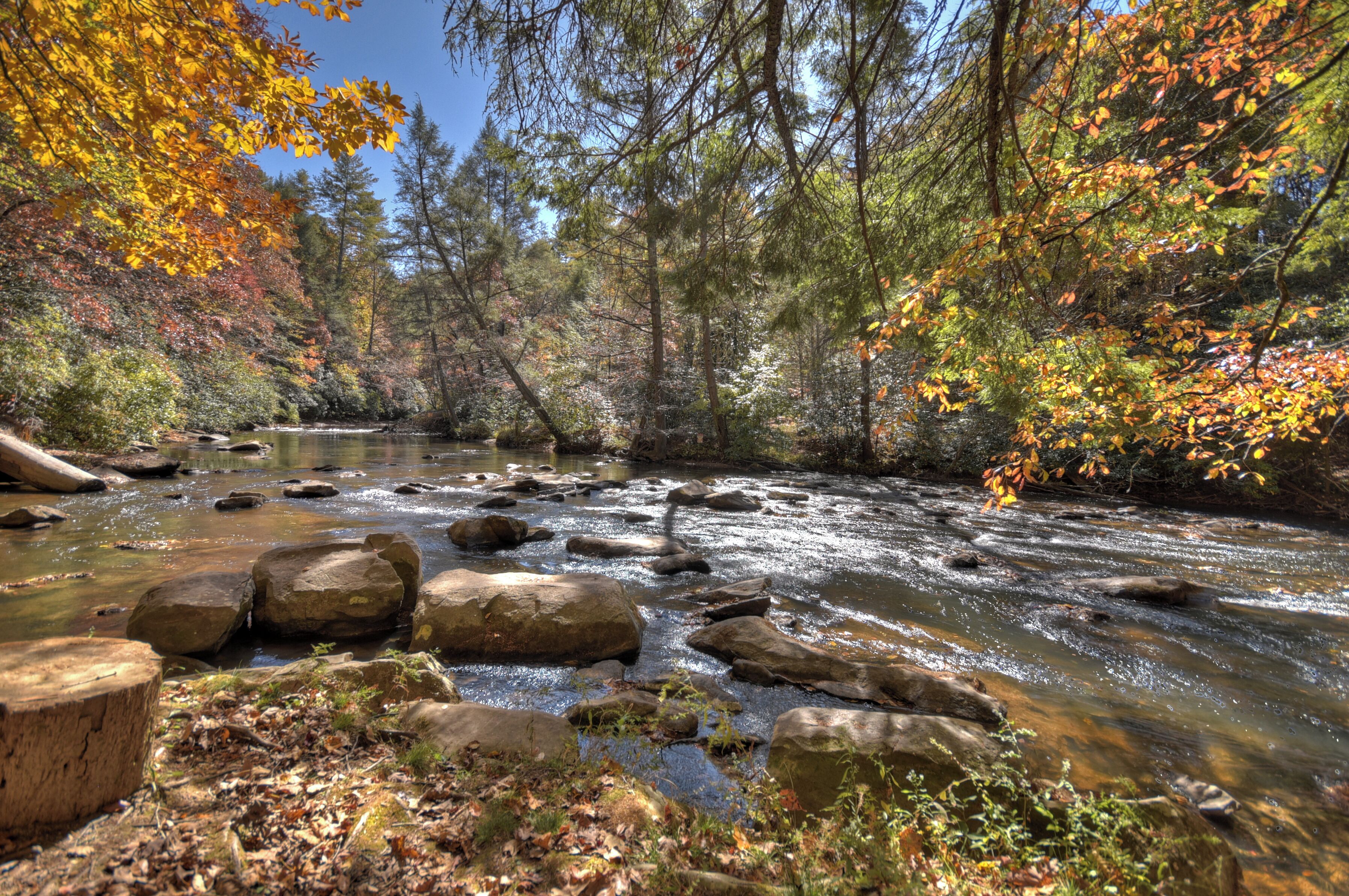 A river flowing through a forest with rocks and trees.