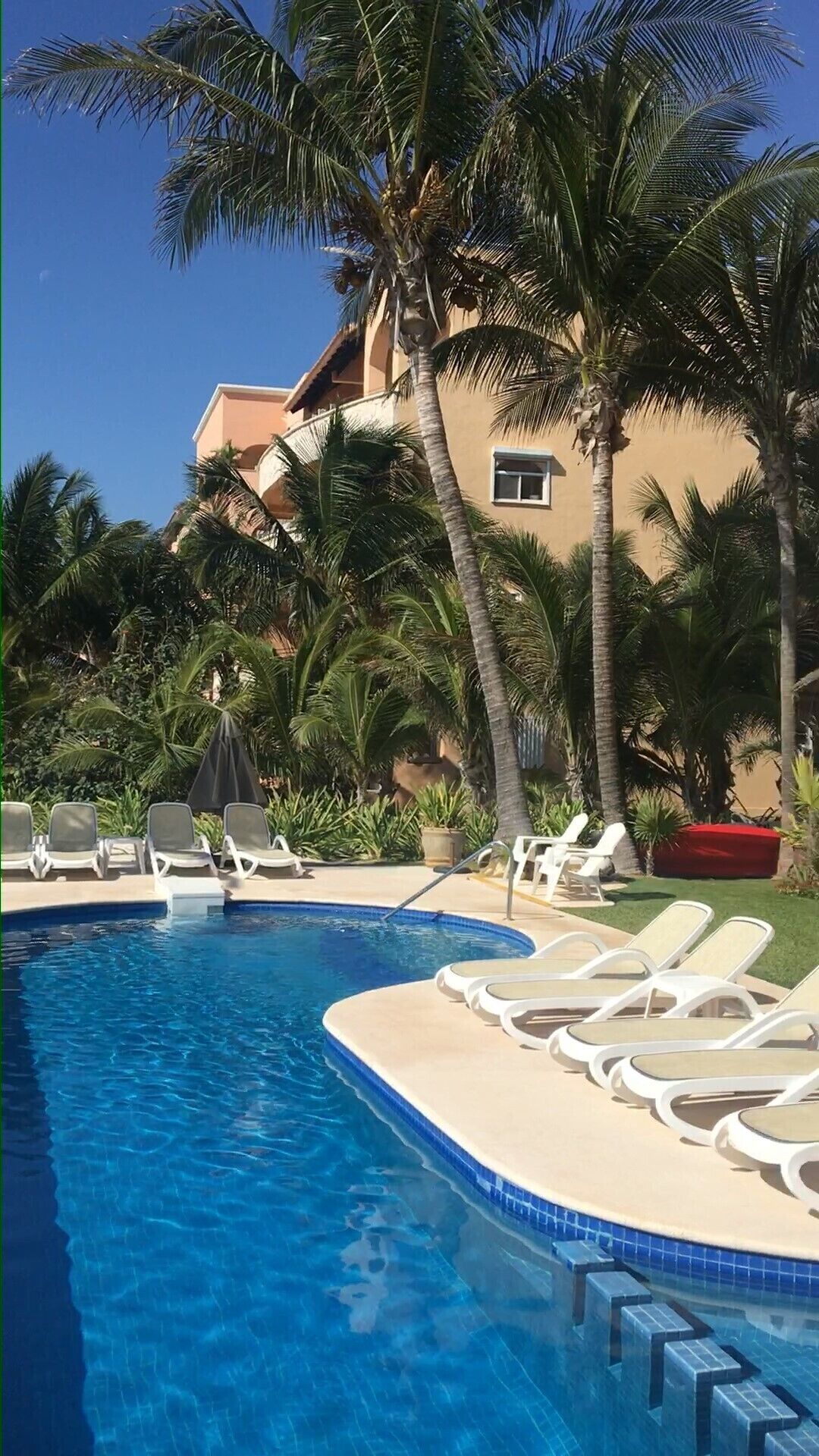 A pool area with lounge chairs and palm trees.