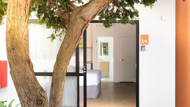 A hotel entrance with a tree in front, a glass door, and a bed visible inside. - Mt. Wellington Motel (Auckland)