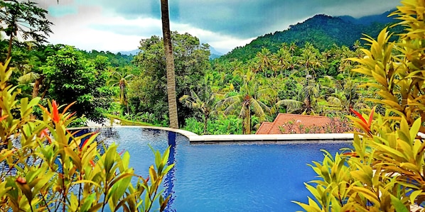 Outdoor pool, pool umbrellas, sun loungers