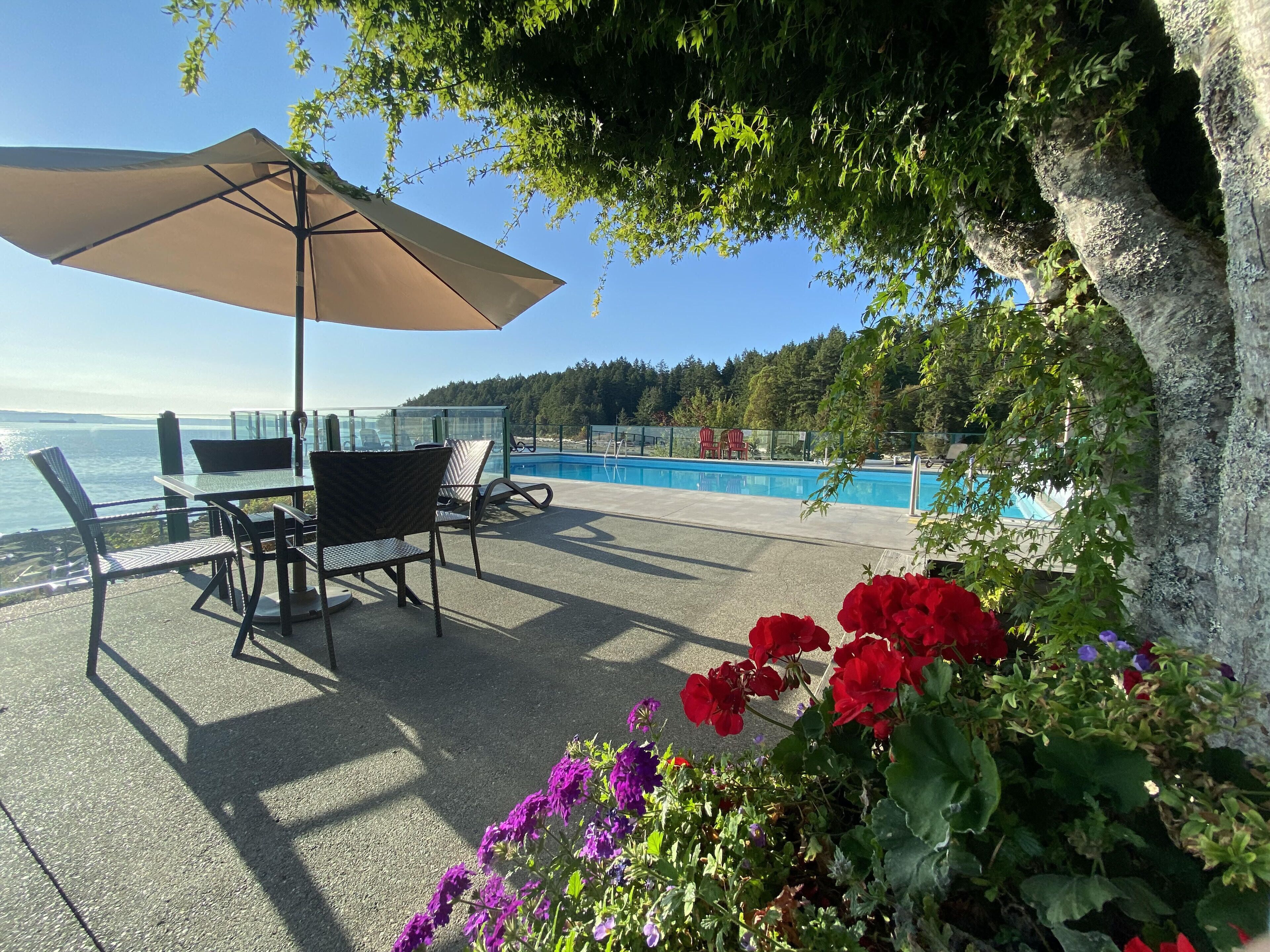 Piscine chauffée