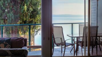 智能电视、壁炉、DVD 播放器、书