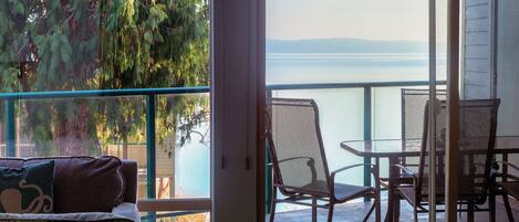 TV connectée, cheminée, lecteur de DVD, livres