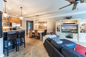 Smart TV, fireplace, DVD player, books